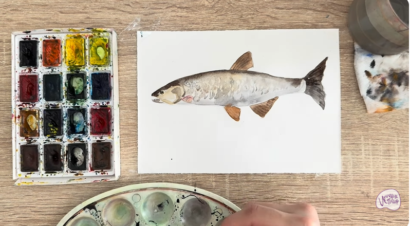 Рисуем Голавль