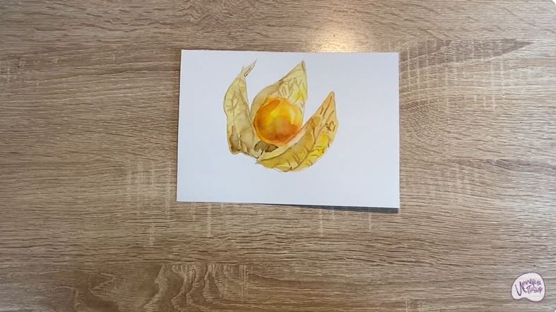 Рисуем Физалис