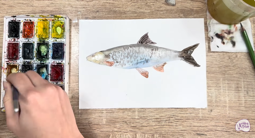 Рисуем Подуст