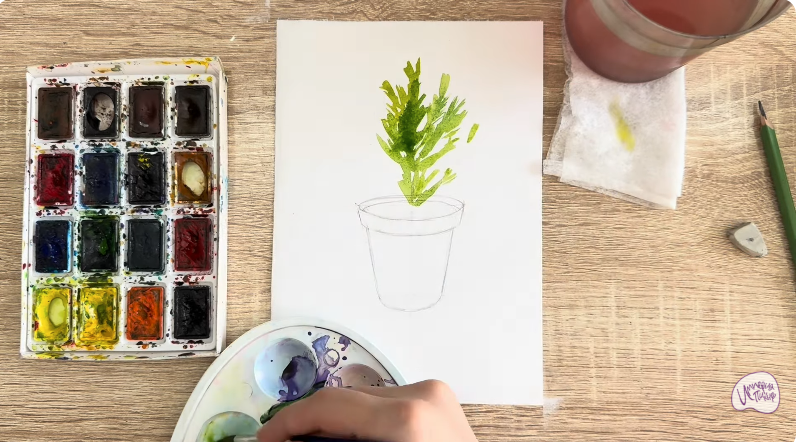 Рисуем Криптомерия японская