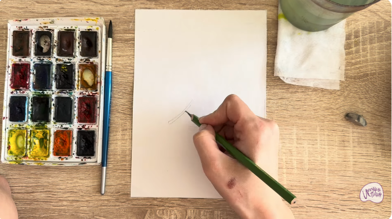 Рисуем Альбиция