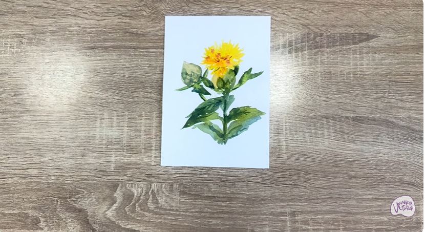 Рисуем Сафлор красильный