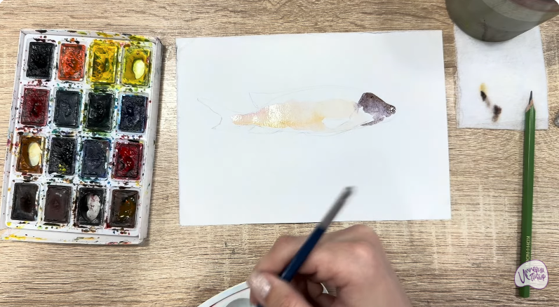 Рисуем Чернокрапчатый ворчун