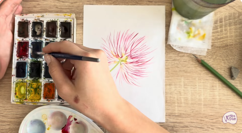 Рисуем Альбиция