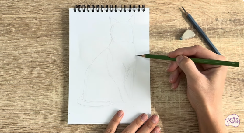 Рисуем Бурманский кот Рисуем Бурманский кот