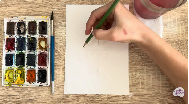 Рисуем Криптомерия японская