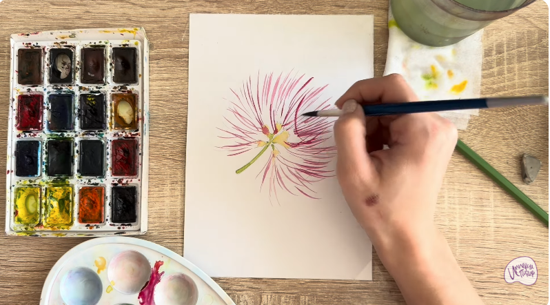 Рисуем Альбиция