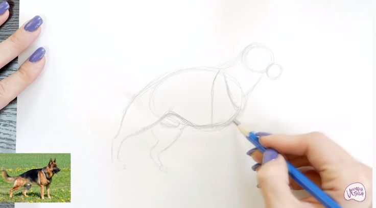 Рисуем Немецкая овчарка
