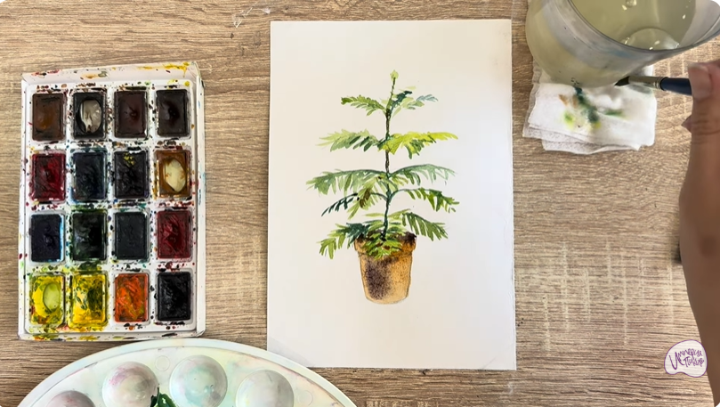 Рисуем Араукария в горшке