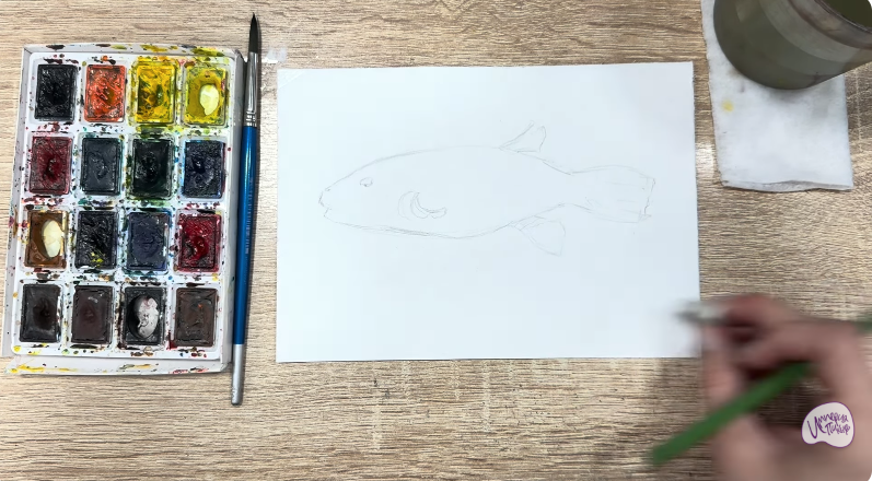 Рисуем Аротрон звёздчатый