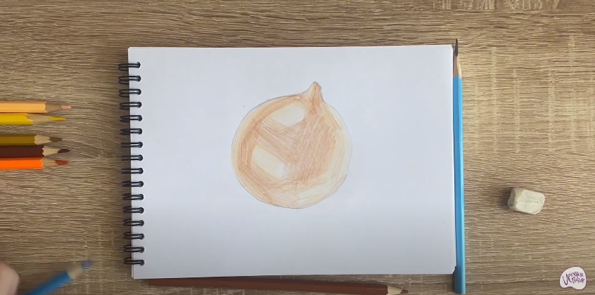 Рисуем Луковица