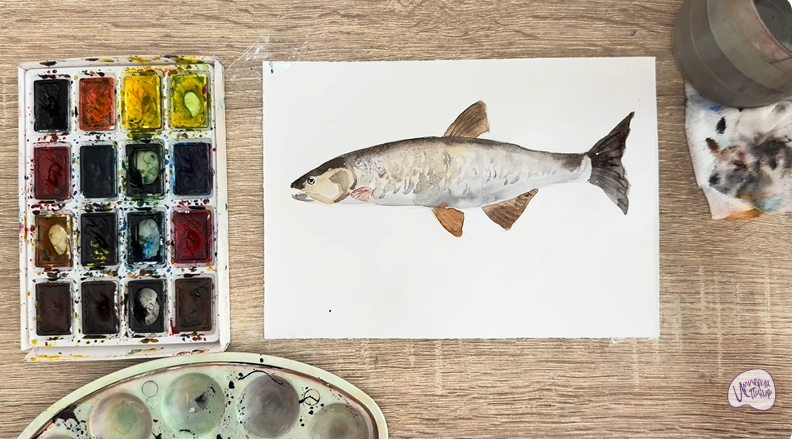 Рисуем Голавль