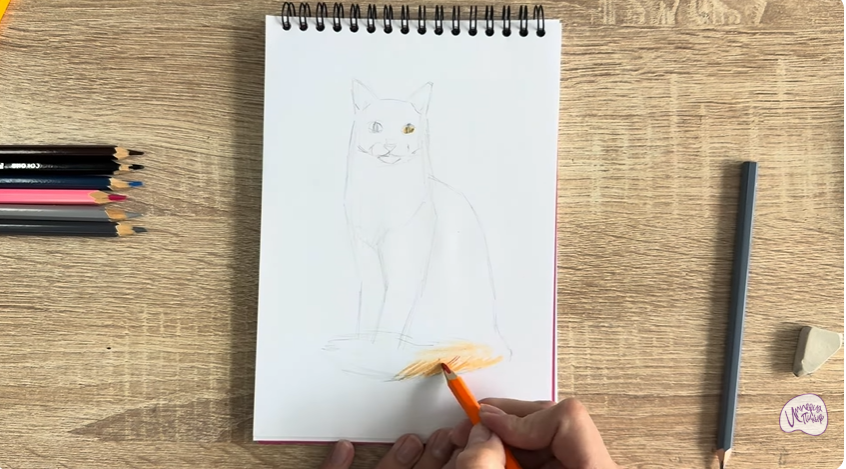 Рисуем Кот породы "Турецкий ван"