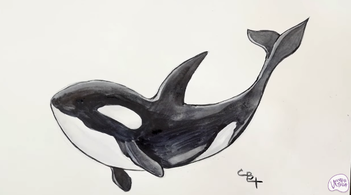 Рисуем Касатка