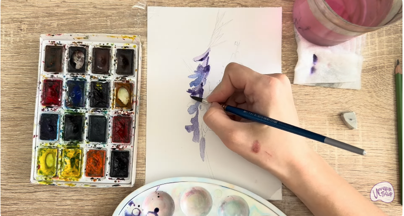 Рисуем Мышиный горошек