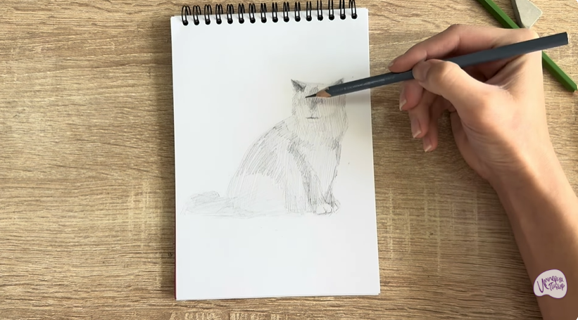 Рисуем Кошка породы Рэгдолл