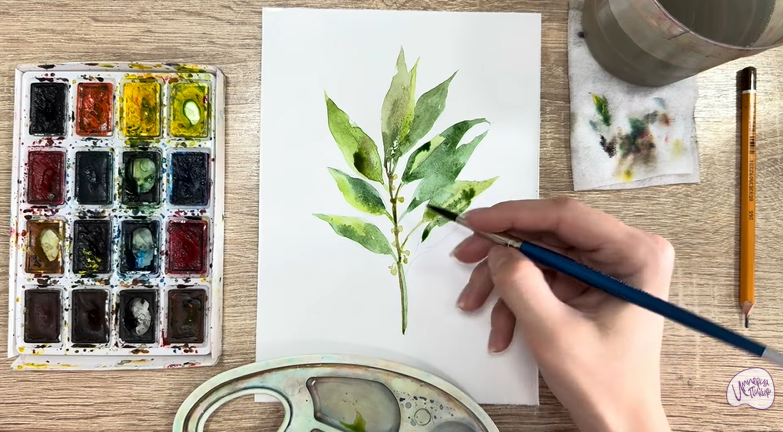 Рисуем Лавровый лист