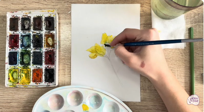 Рисуем Чина луговая