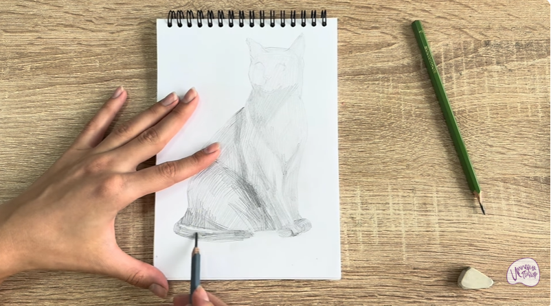 Рисуем Бурманский кот Рисуем Бурманский кот