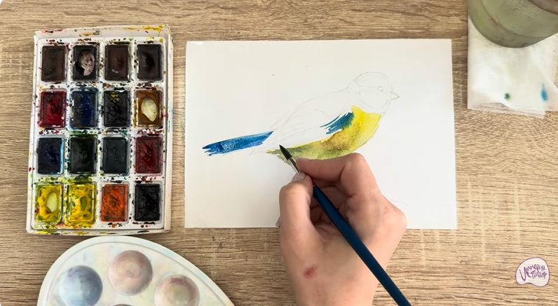 Рисуем Обыкновенная лазоревка