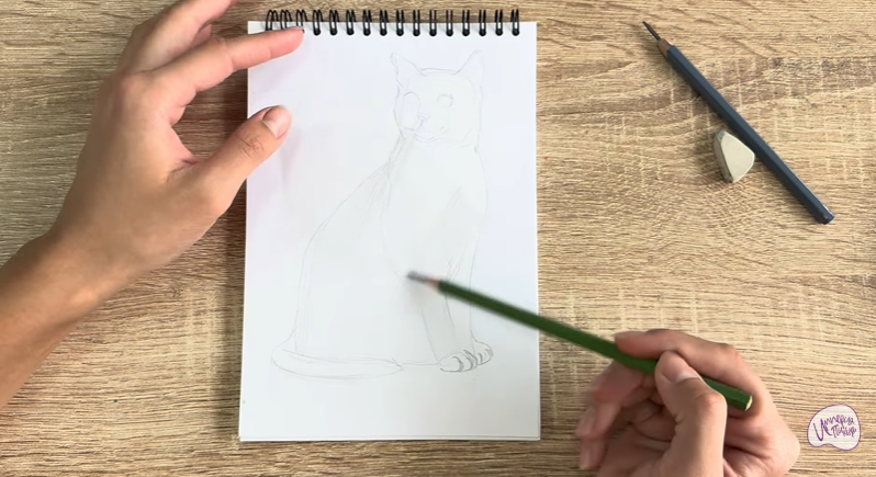 Рисуем Бурманский кот Рисуем Бурманский кот