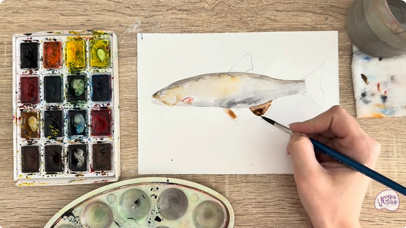 Рисуем Голавль