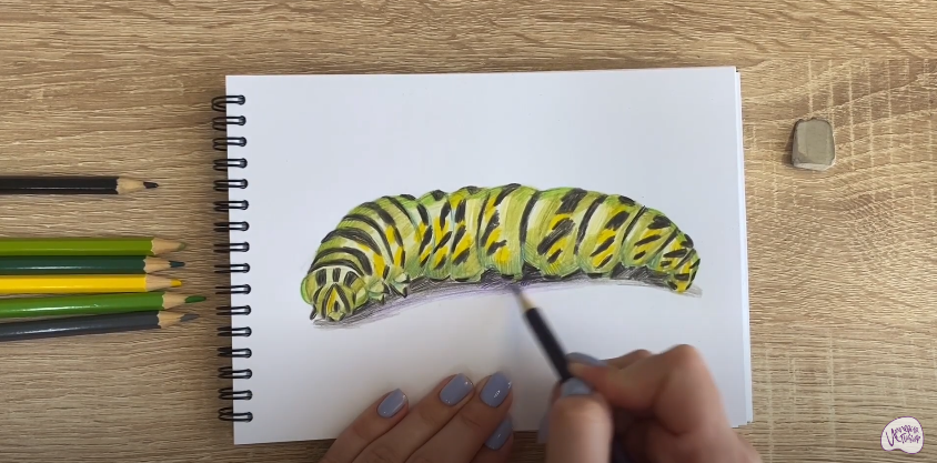 Рисуем Гусеница