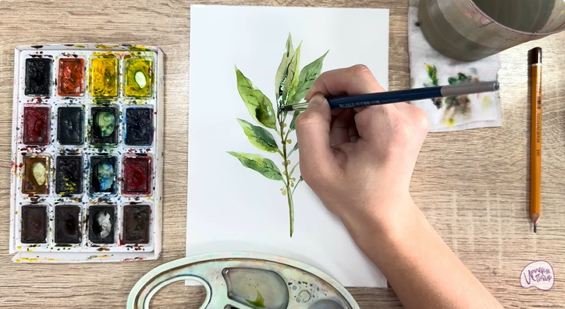 Рисуем Лавровый лист