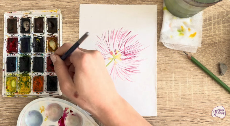 Рисуем Альбиция