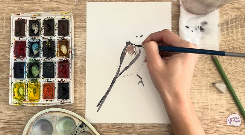 Рисуем Длиннохвостая синица