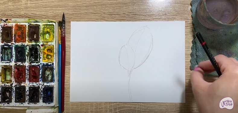 Рисуем Фикус