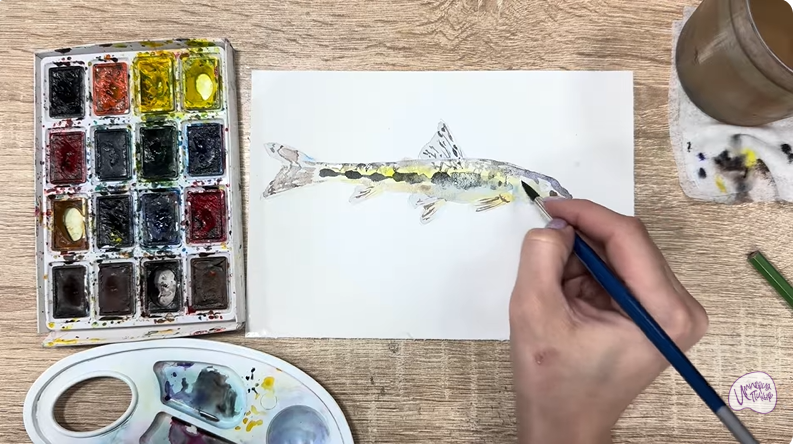 Рисуем Ленский пескарь