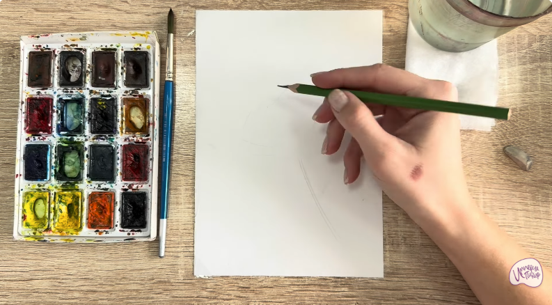 Рисуем Чина луговая