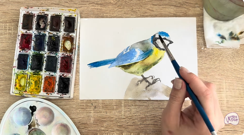 Рисуем Обыкновенная лазоревка