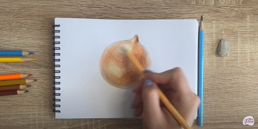 Рисуем Луковица