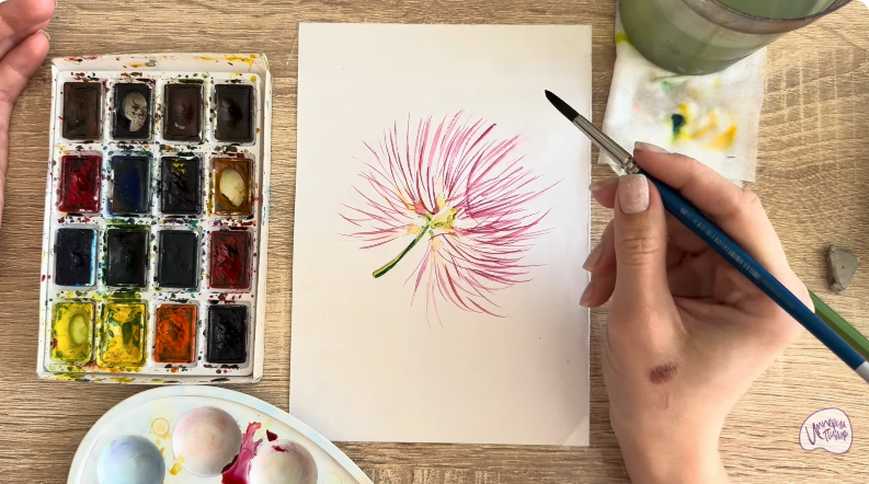 Рисуем Альбиция