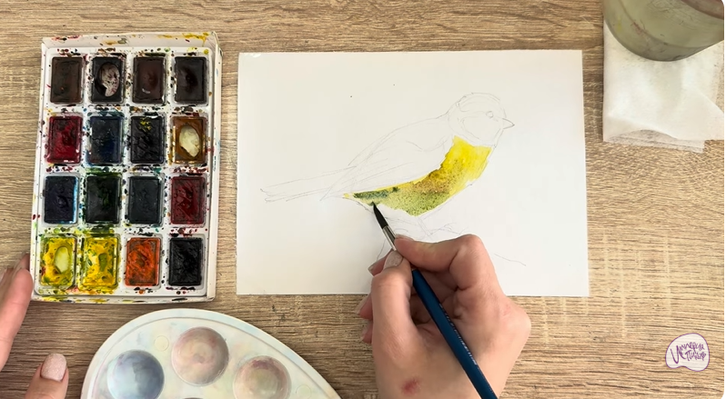 Рисуем Обыкновенная лазоревка