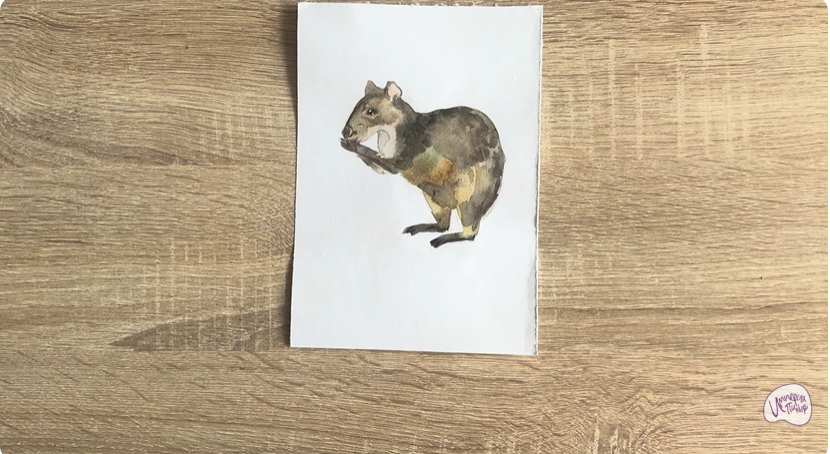 Рисуем Агути