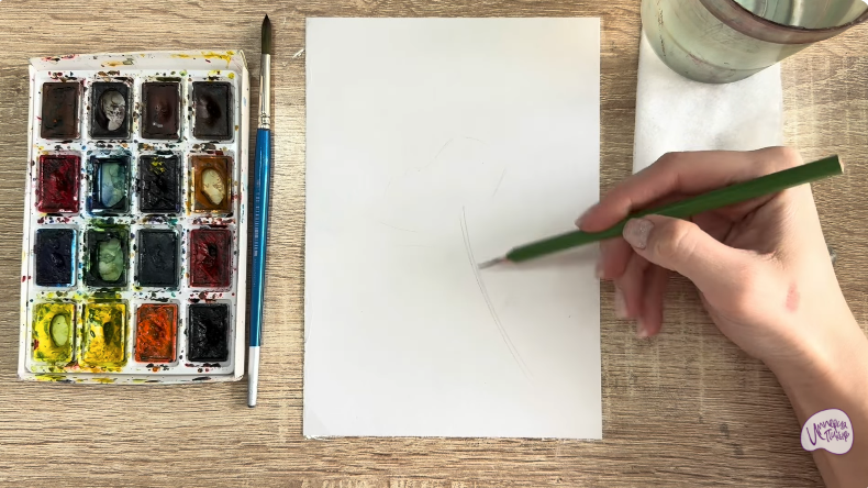 Рисуем Чина луговая