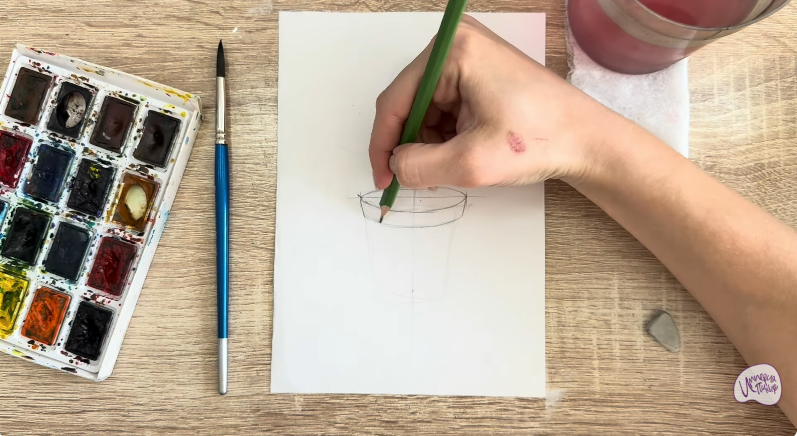 Рисуем Криптомерия японская