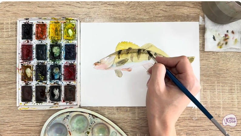 Рисуем Берш