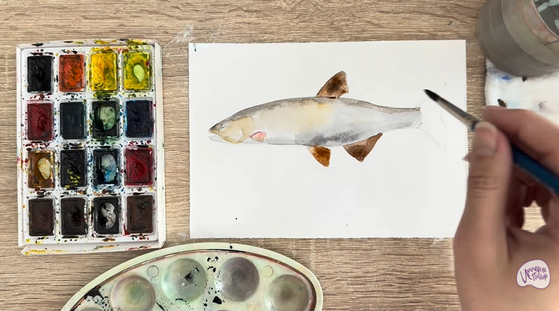 Рисуем Голавль