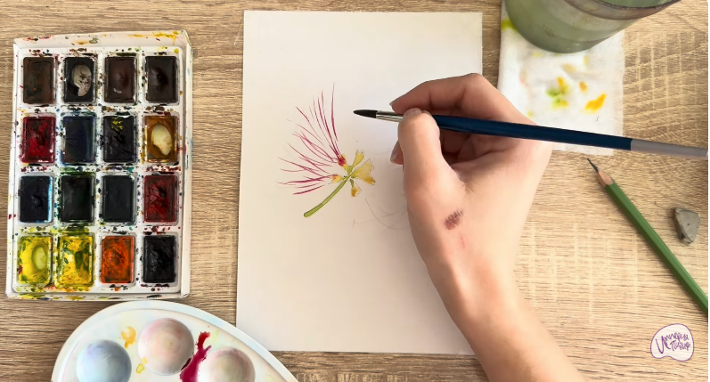 Рисуем Альбиция