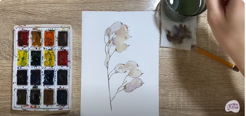 Рисуем Цветок "Лунария"