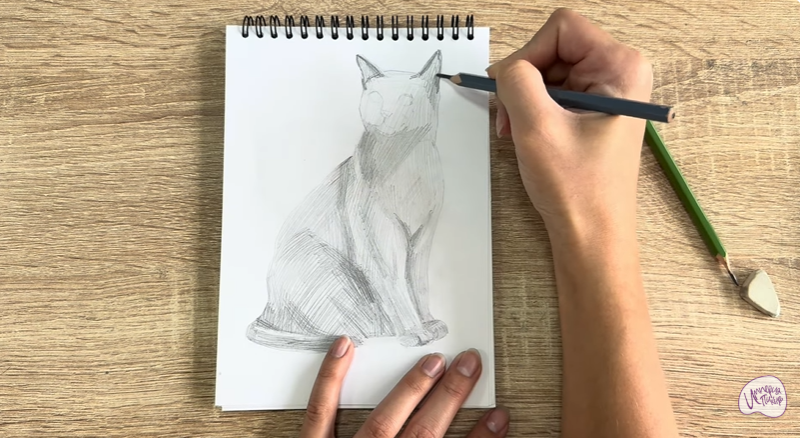 Рисуем Бурманский кот Рисуем Бурманский кот