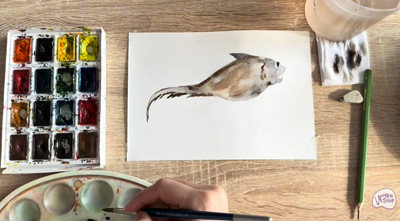 Рисуем Макрурус Рисуем Макрурус