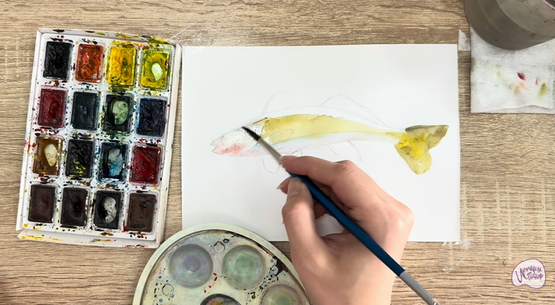 Рисуем Берш