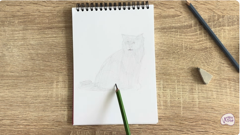 Рисуем Кошка породы Рэгдолл