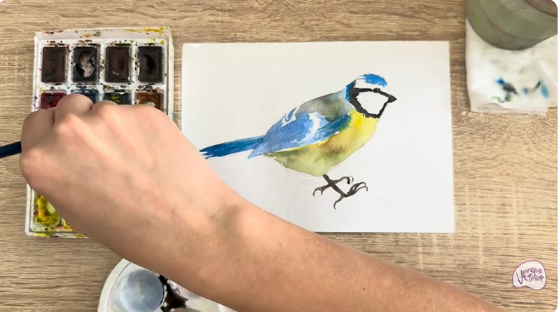 Рисуем Обыкновенная лазоревка