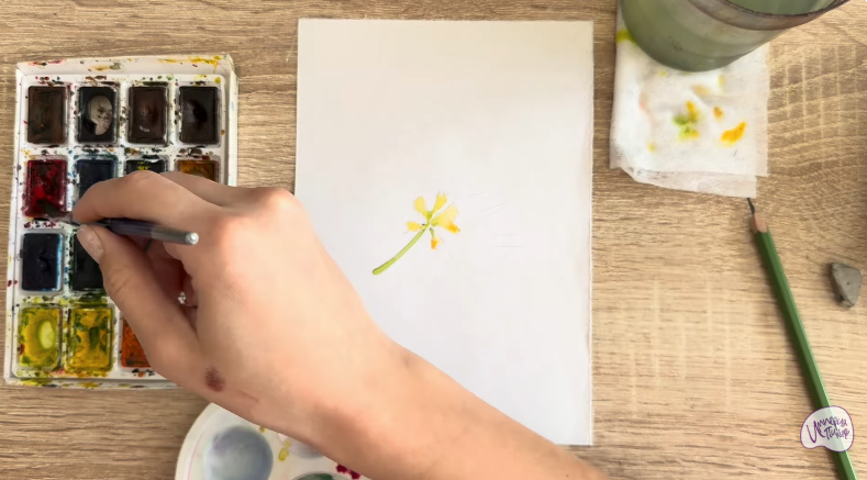 Рисуем Альбиция